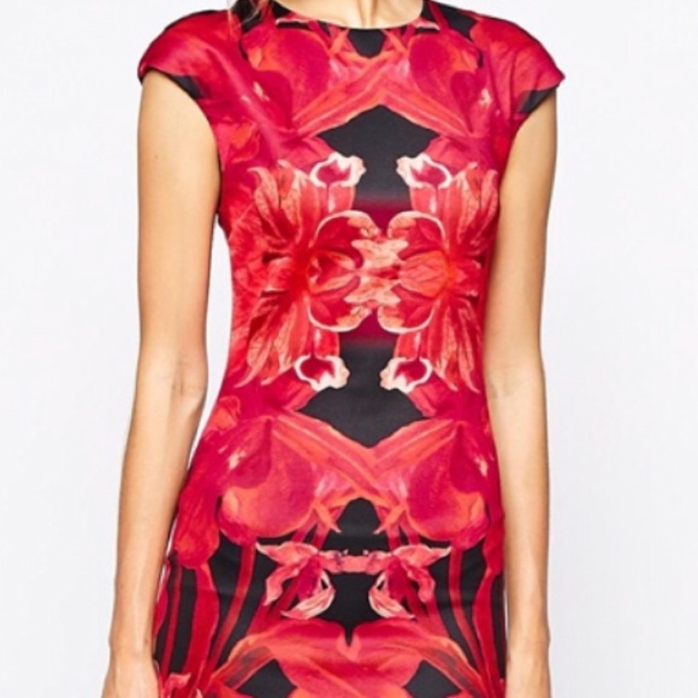 NWT Ted Baker Dress U.S size 4